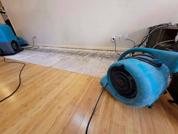 Professional Emergency Water Damage technician working in Marshall, CA